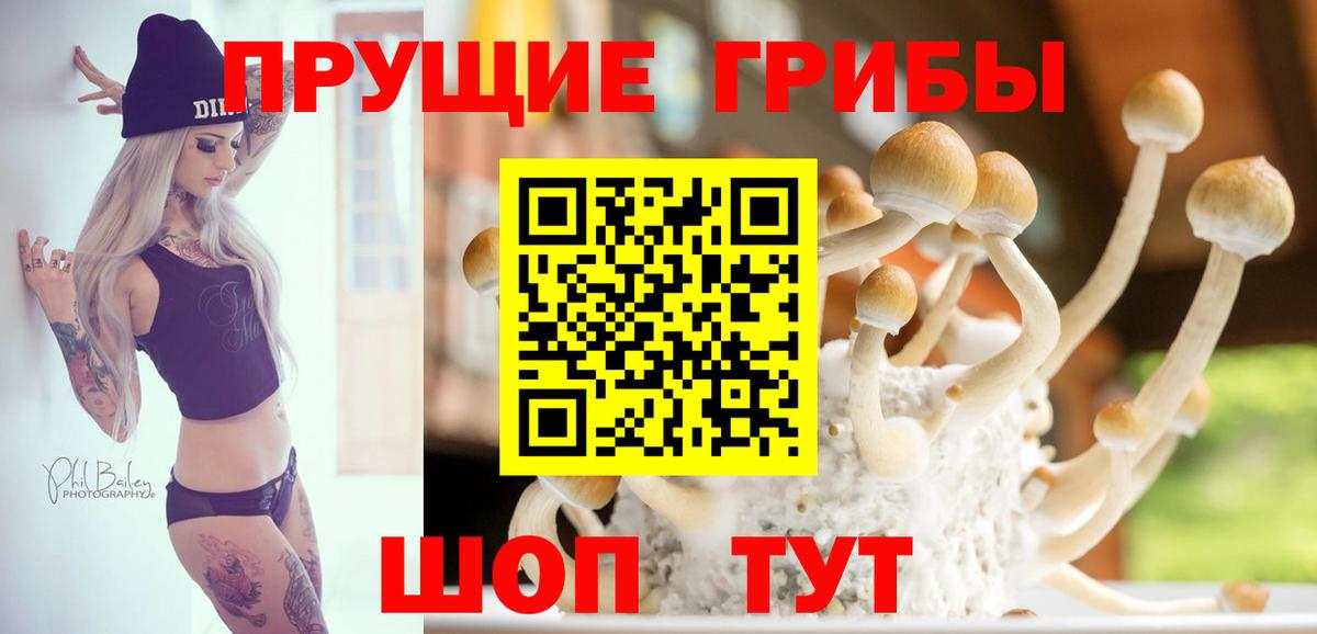 Псилоцибиновые грибы мухоморы Ишимбай